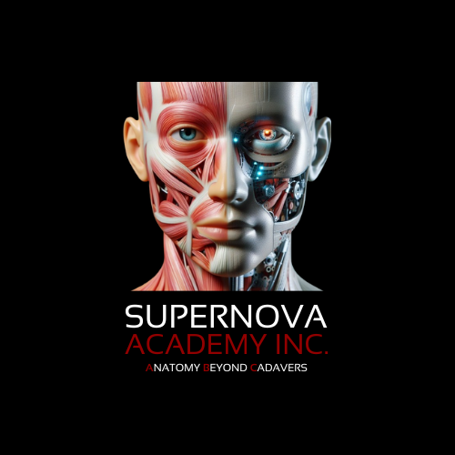 Supernova Academy